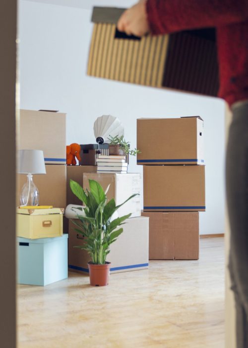 Packing and Moving Services In Winter Haven, FL
